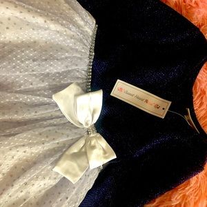 Sweet Heart Rose Toddler dress